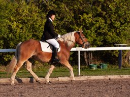 IMG_7611_web